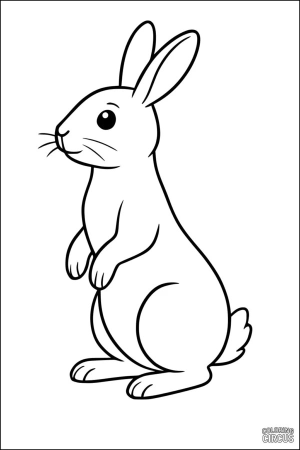Coloring page of a simple, cartoon-style rabbit sitting upright