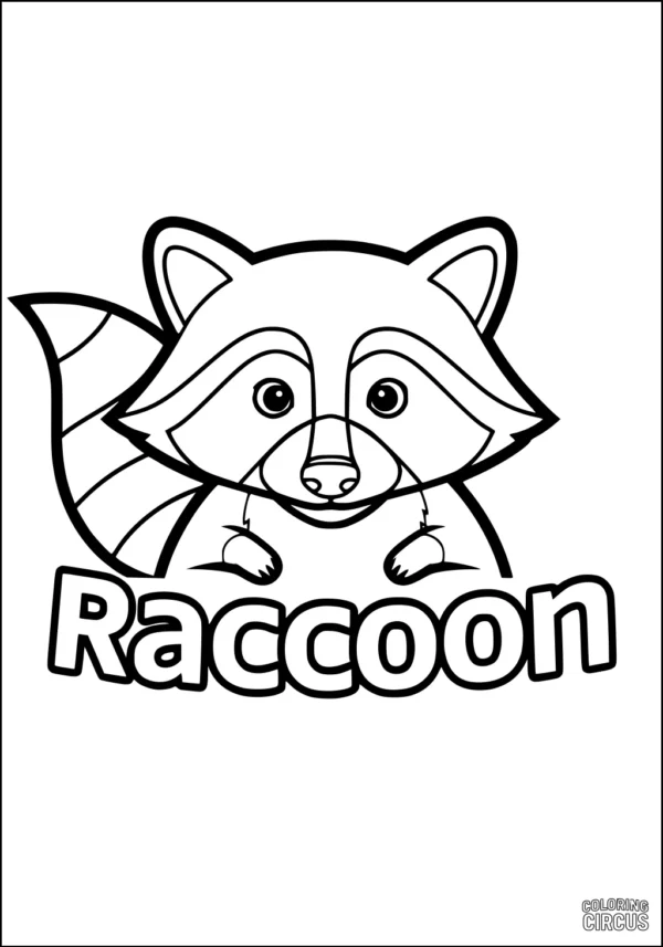 Coloring page featuring a cute cartoon raccoon with bold outlines and the word 'Raccoon'