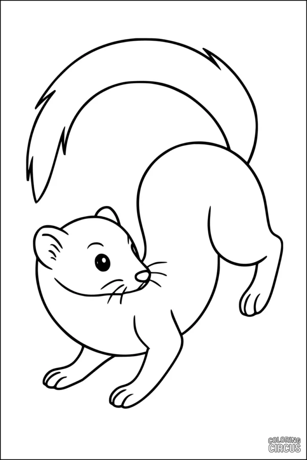Coloring page of a cute cartoon weasel with a large fluffy tail, drawn in a simple style