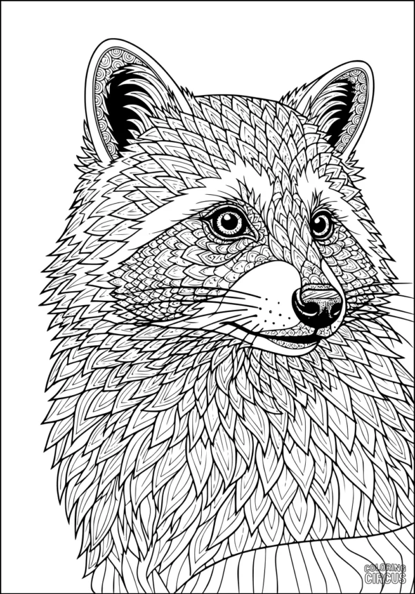 Coloring page featuring an intricately detailed raccoon face with patterned fur for advanced coloring