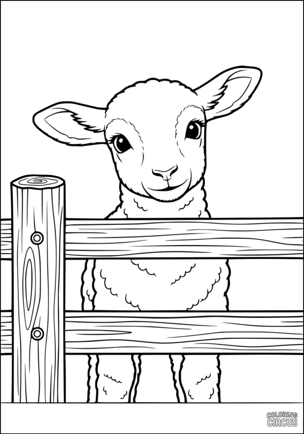 Coloring page of a cute lamb looking through a wooden fence, perfect for young children and farm animal themes.