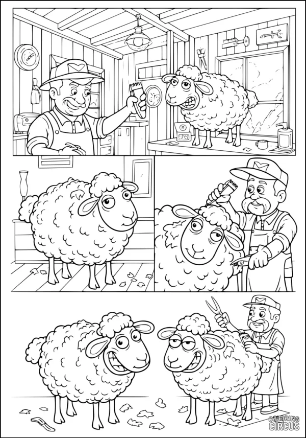 Coloring page showing cheerful sheep getting sheared by a farmer in a barn setting