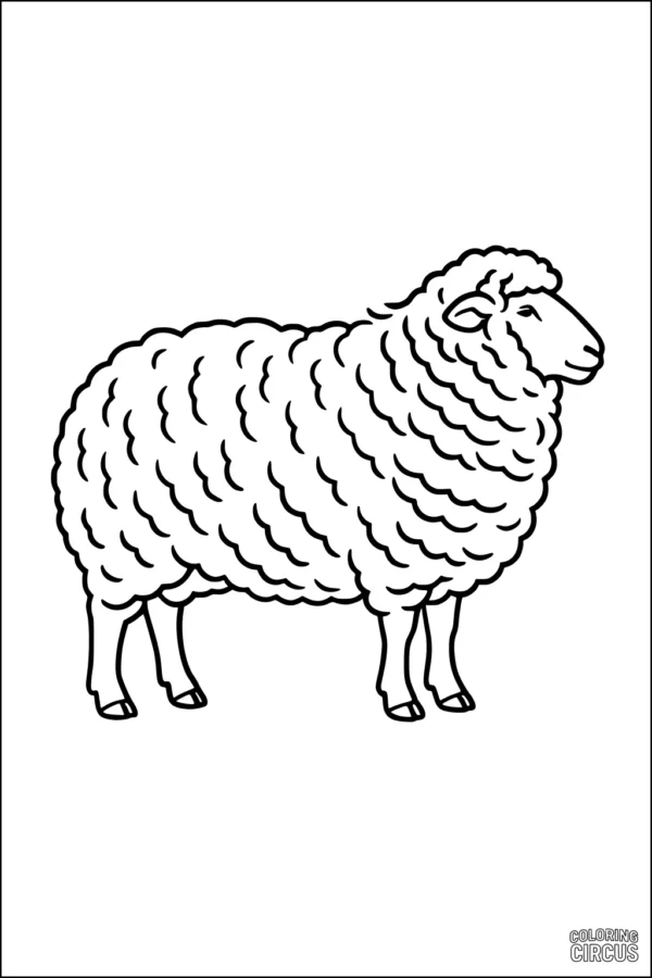 Coloring page of a fluffy sheep standing in profile with a detailed woolly coat, perfect for young children.