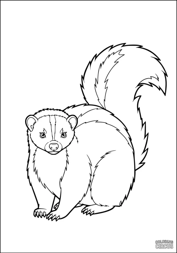 Coloring page featuring a fluffy cartoon skunk with a large tail, perfect for children.
