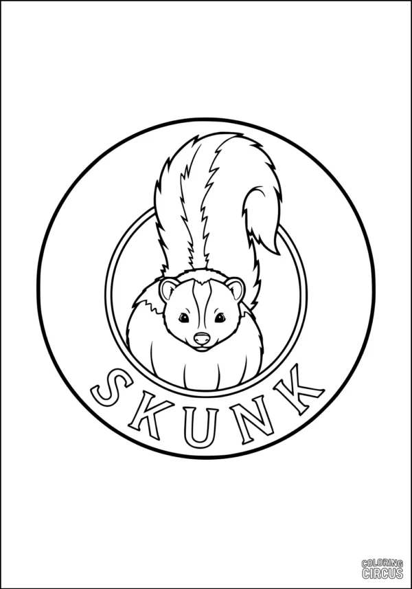 Coloring page of a cute skunk with fluffy tail inside a circle with the word skunk