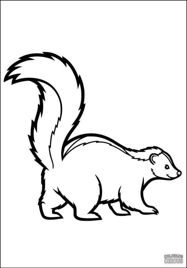Coloring page featuring a cute skunk with a large bushy tail