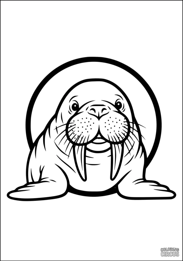 Coloring page featuring a cute walrus with big tusks and friendly face, perfect for children.