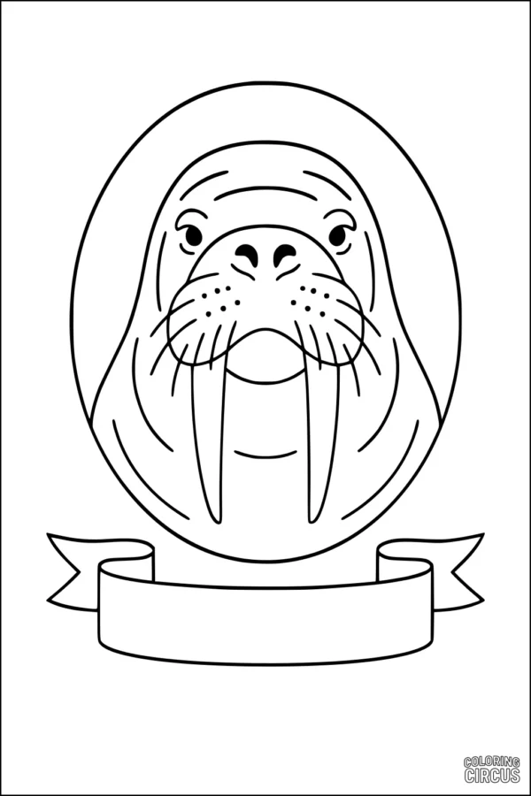Coloring page of a walrus face with tusks and a blank ribbon banner for writing, suitable for young children.