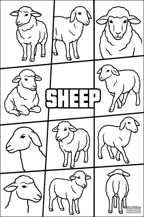 Coloring page featuring twelve simple cartoon sheep in various poses and expressions