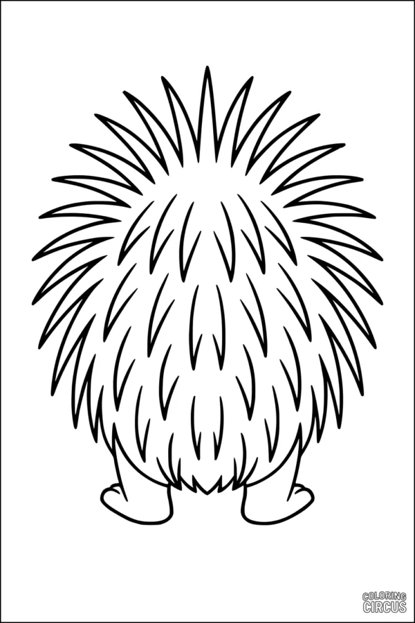 Coloring page featuring a cartoon porcupine from behind with spiky fur and short legs