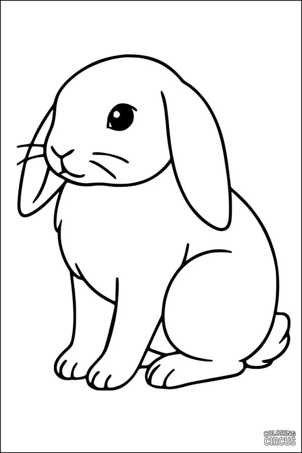 Coloring page of a cute sitting rabbit with long floppy ears and simple details