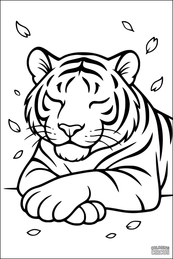 Coloring page showing a calm tiger lying down with closed eyes and leaves around it