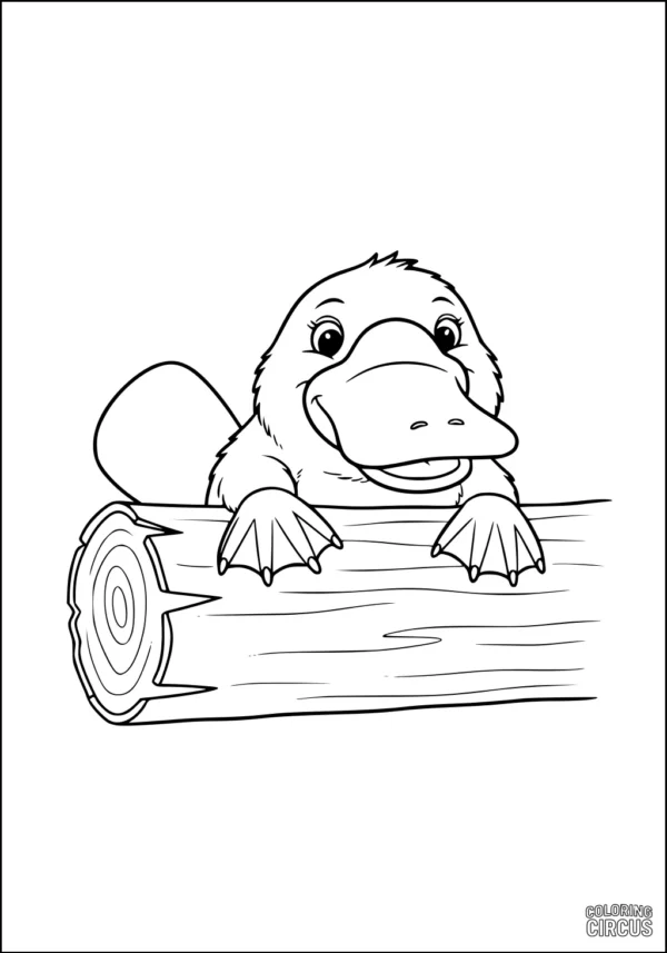Coloring page featuring a smiling platypus peeking over a log, cartoon style