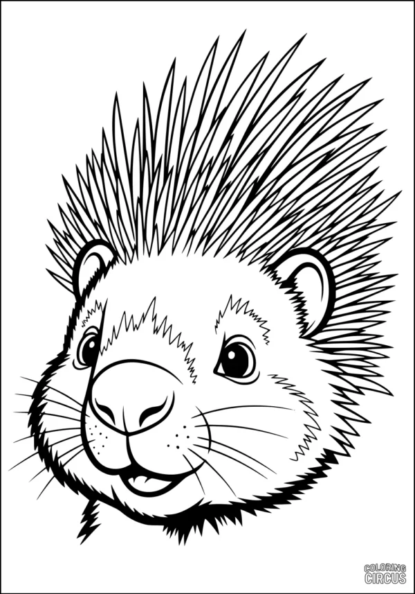 Coloring page featuring a cute cartoon porcupine face with expressive eyes and spiky quills