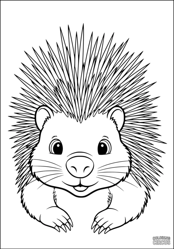 Coloring page featuring a cute, smiling porcupine with big eyes and spiky quills