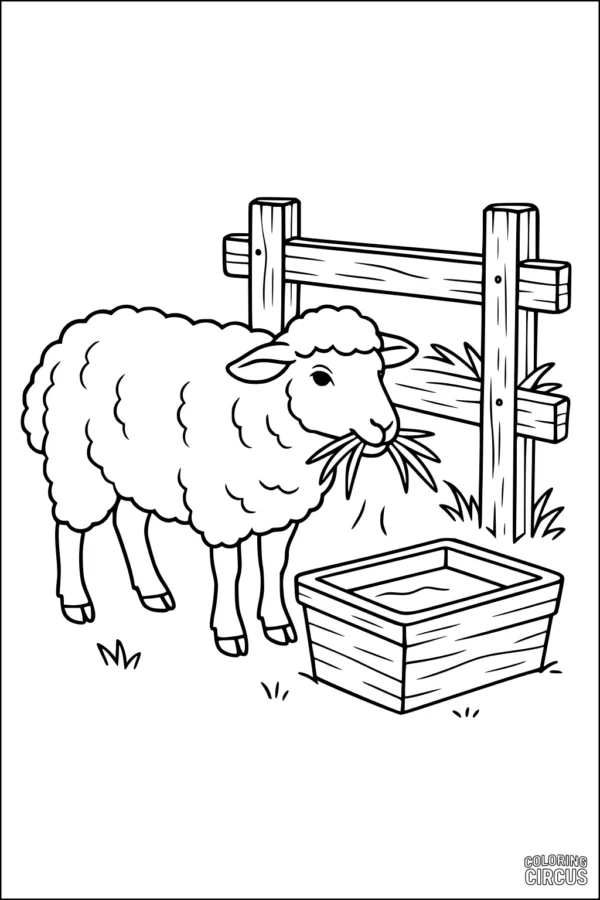 Coloring page with a fluffy sheep eating grass beside a farm fence and water trough