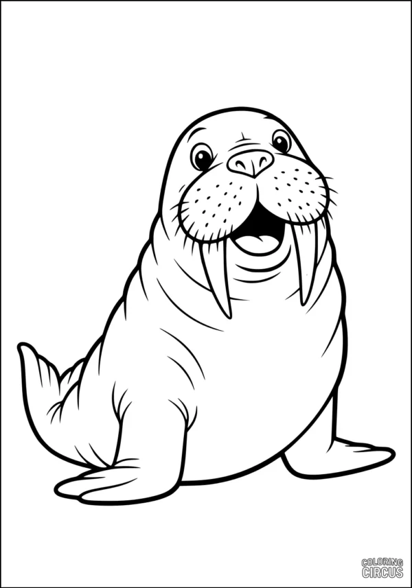 Coloring page featuring a cute cartoon walrus with big tusks and flippers