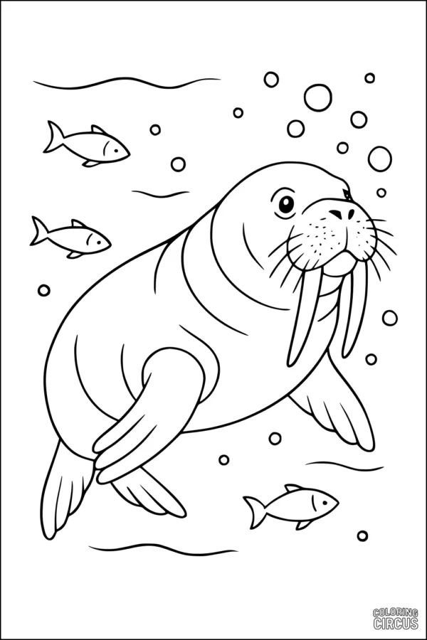 Coloring page featuring a friendly walrus swimming underwater with three fish and bubbles