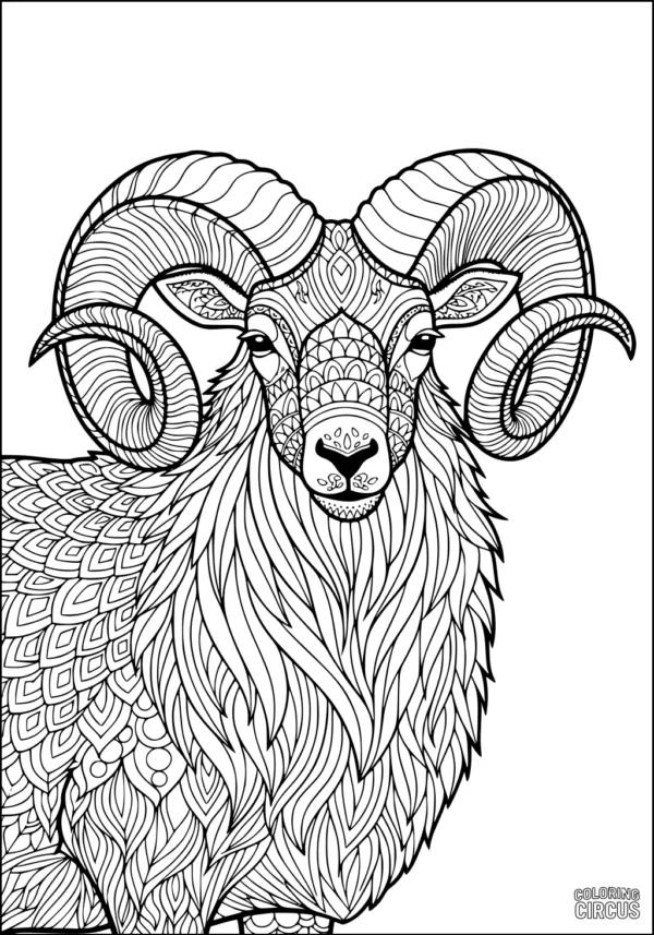 Coloring page featuring an ornate, detailed sheep with swirling wool and patterned horns