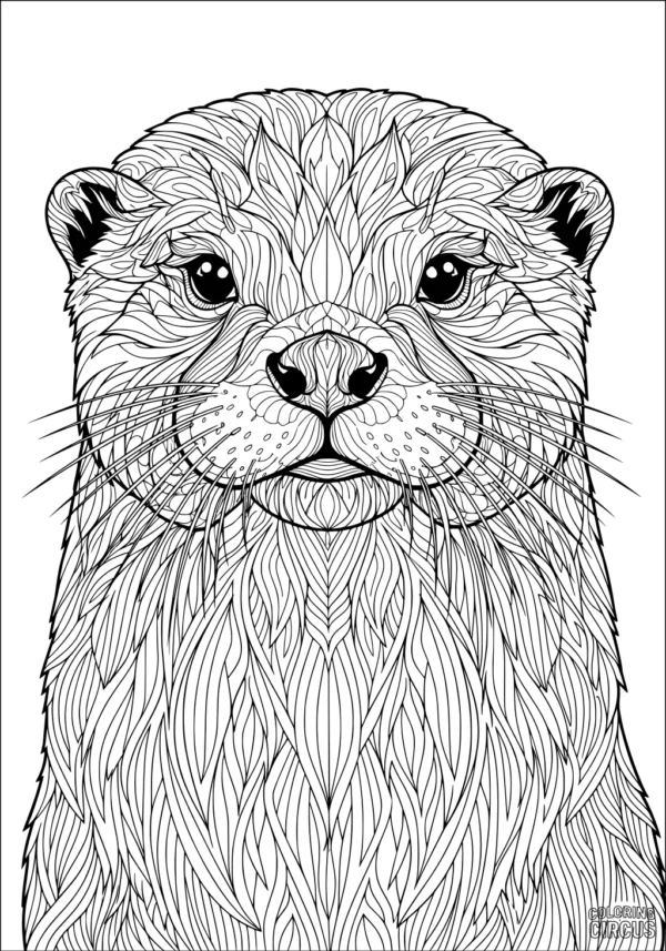 Coloring page detailed otter portrait with swirling fur patterns