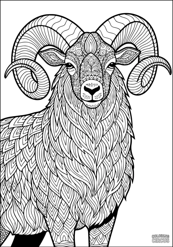 Coloring page of a detailed ram with decorative wool and large curled horns