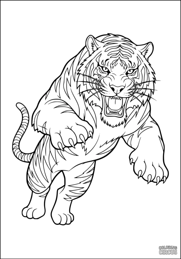 Coloring page of a roaring tiger leaping forward with defined stripes