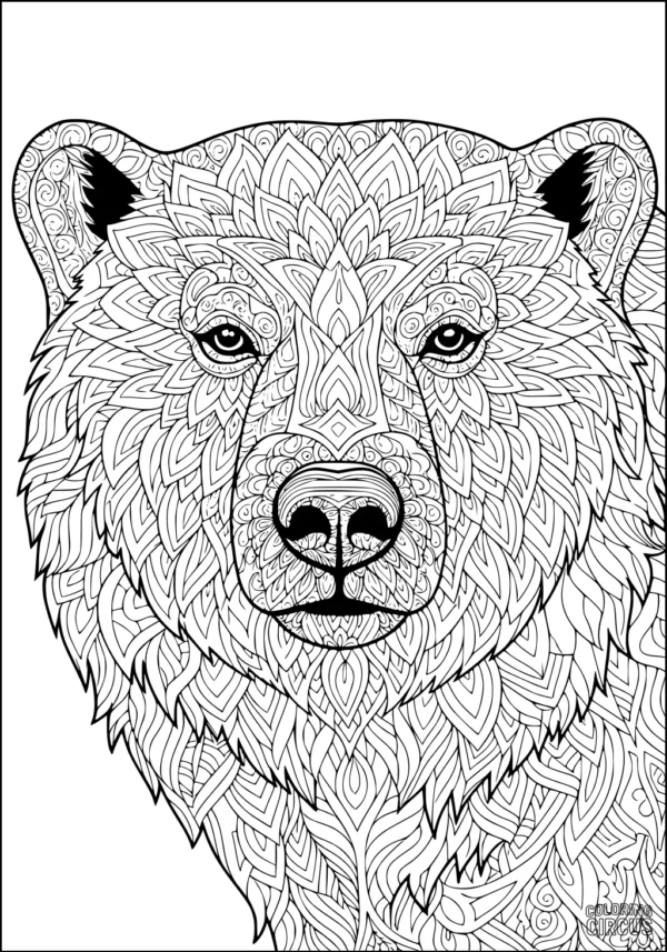 Coloring page showing a detailed polar bear head with intricate patterns