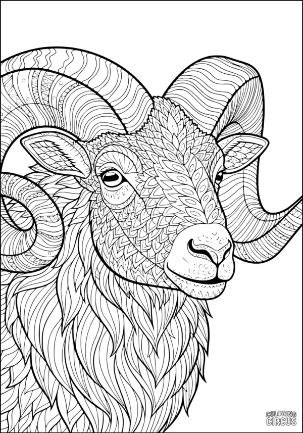 Coloring page intricate ram with detailed wool and spiral horns for sheep category