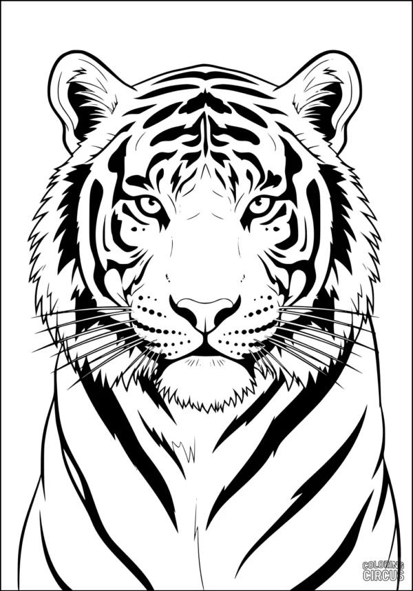 Coloring page of a realistic tiger face with bold stripes