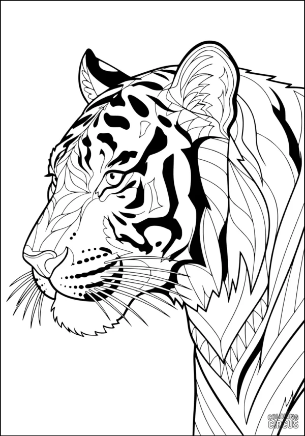 Coloring page of a detailed tiger head with intricate fur and stripe patterns