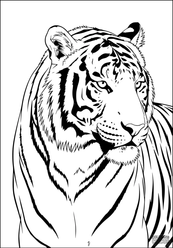 Coloring page featuring a detailed tiger portrait with bold stripes