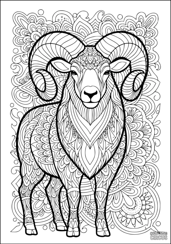 Coloring page detailed ram sheep with ornate patterns and swirling background