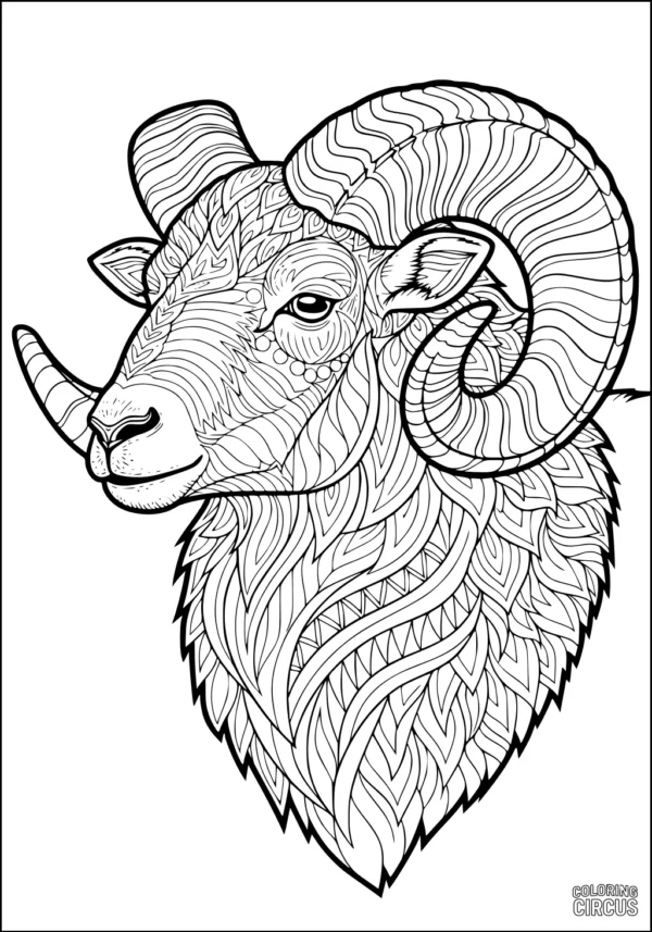 Coloring page detailed ram sheep head with intricate patterned wool and swirling horns