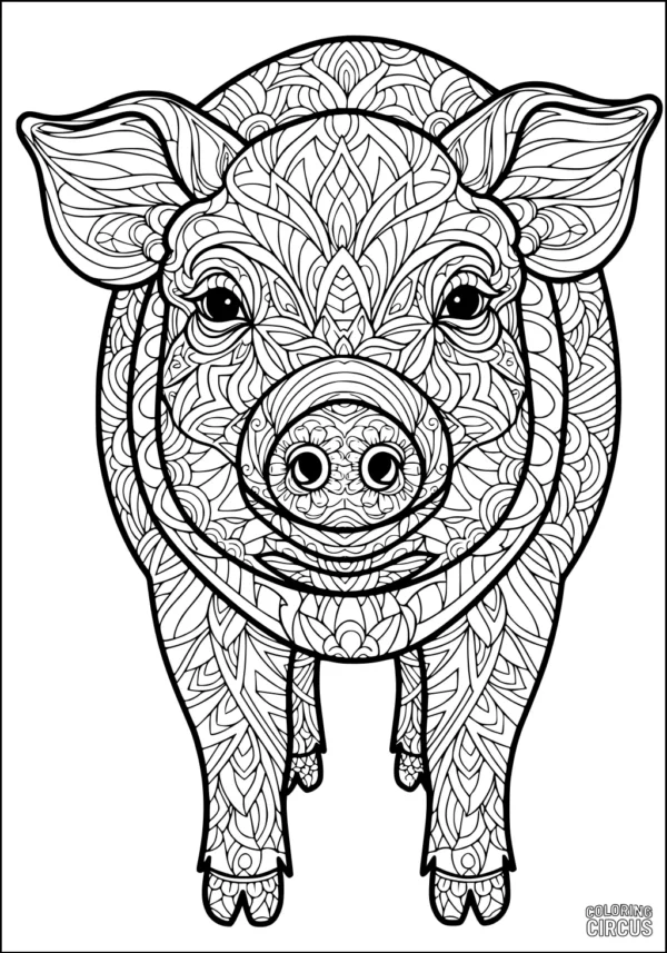Coloring page detailed mandala pig head with intricate patterns