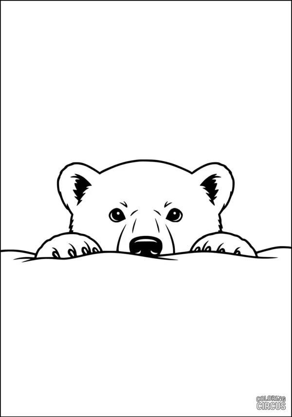 Coloring page showing a cute polar bear cub peeking over a snowbank with big eyes and round ears