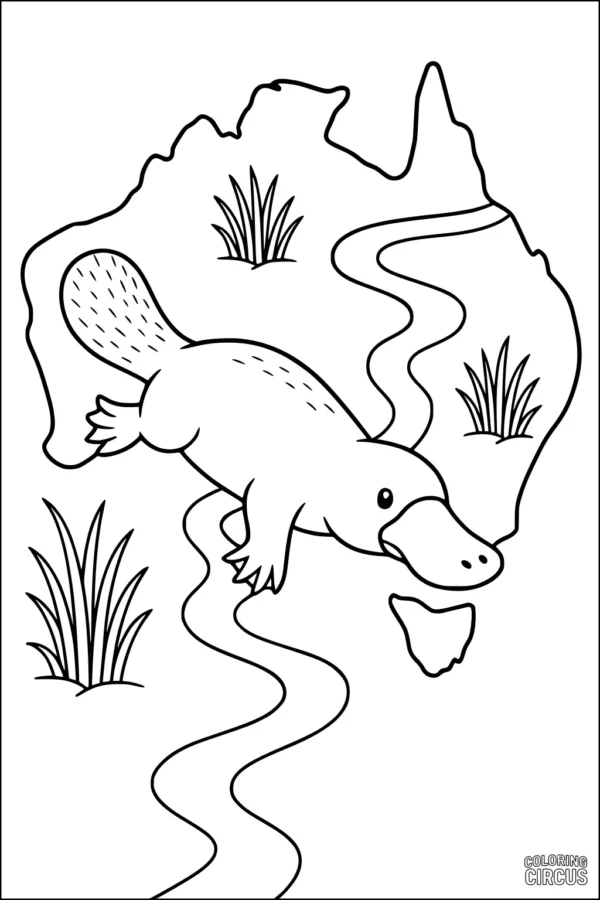 Coloring page showing a platypus swimming on a river through an outline map of Australia with grassy plants.