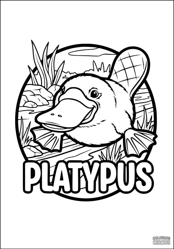 Coloring page featuring a cute platypus in a river habitat with plants and stones, perfect for young children.