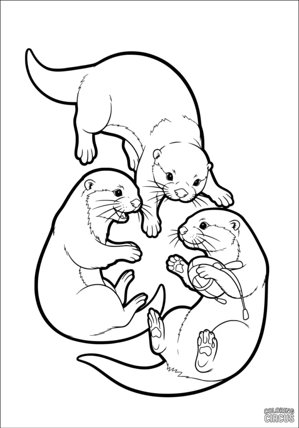 Coloring page of three cute otters playing together with a shell