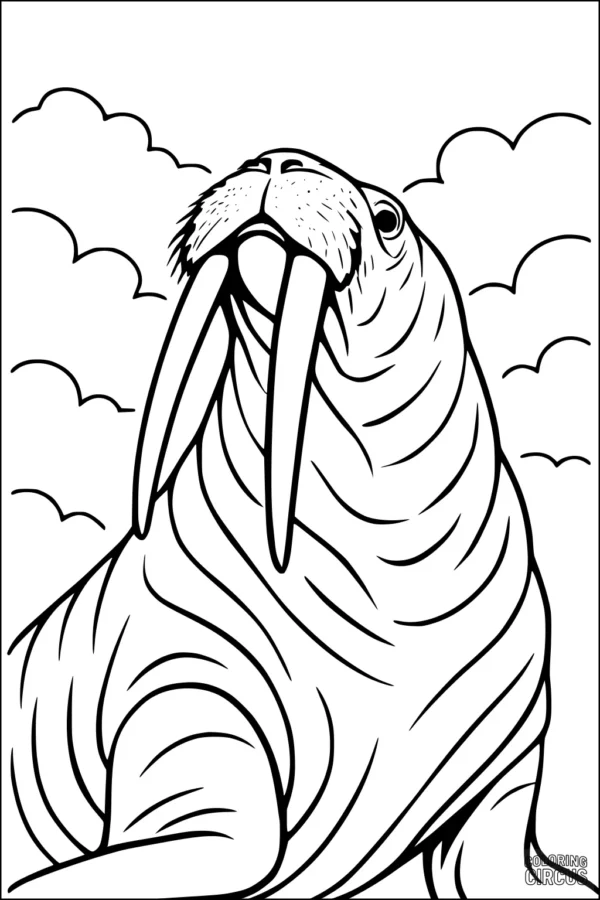 Coloring page features a friendly walrus with large tusks looking upward, set against a background of clouds and birds