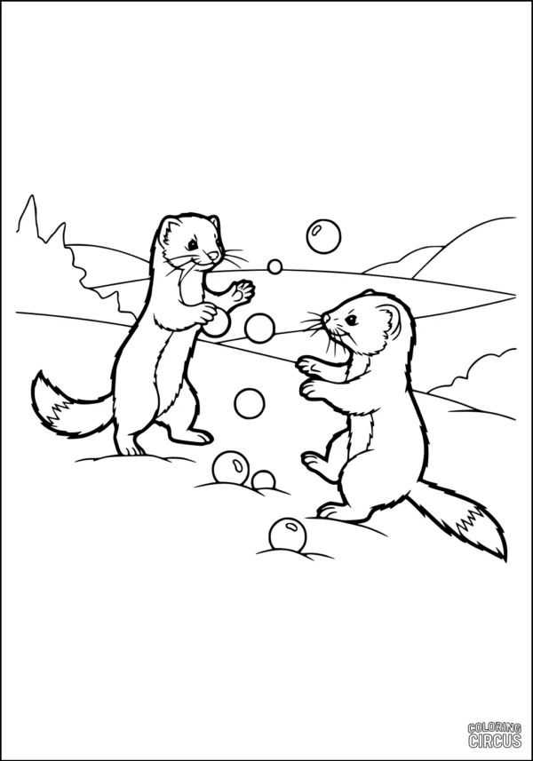Coloring page showing two weasels playing with bouncing balls in a meadow landscape