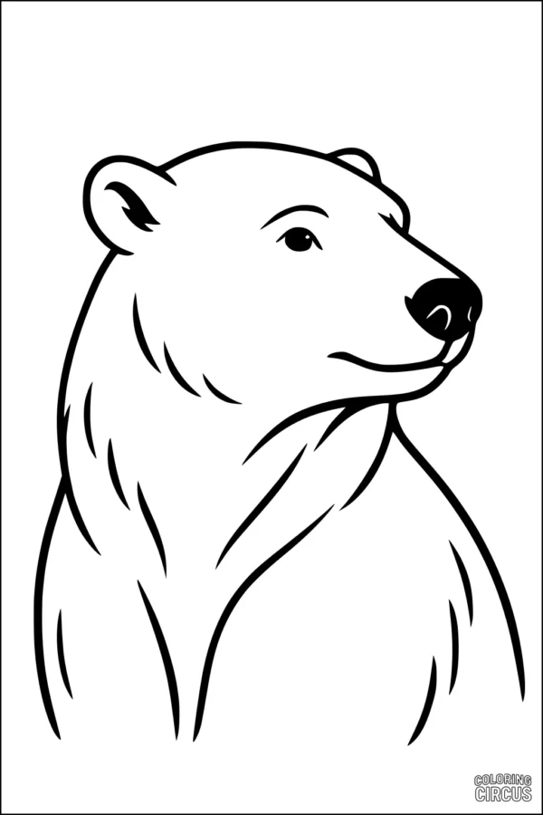 Coloring page of a polar bear looking to the side with simple bold lines for children
