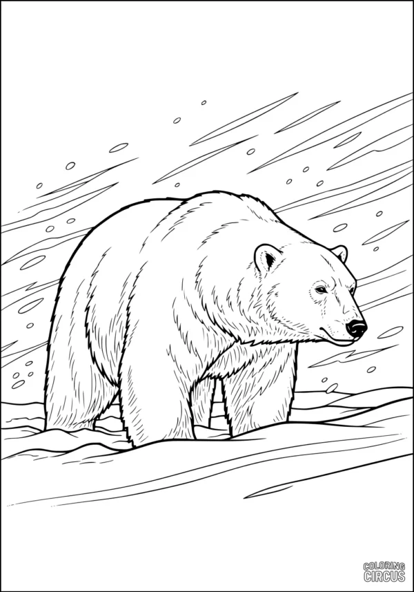 Coloring page showing a polar bear walking in snowy Arctic landscape with wind and snowflakes.