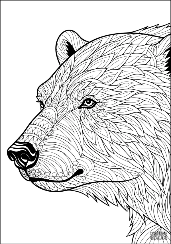 Coloring page features polar bear head with intricate geometric patterns and details