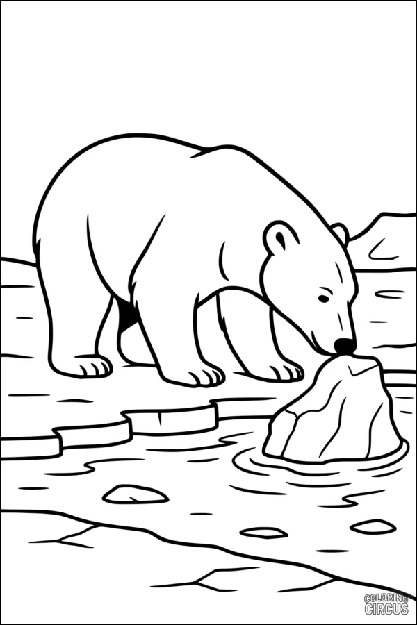 Coloring page showing a polar bear looking at a rock by an icy pond with snowy landscape