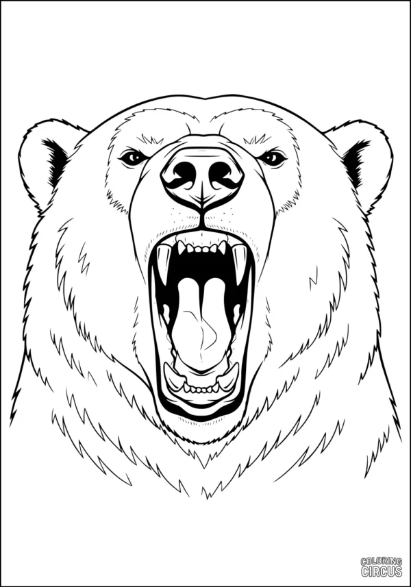 Coloring page showing a detailed polar bear face roaring, perfect for older kids
