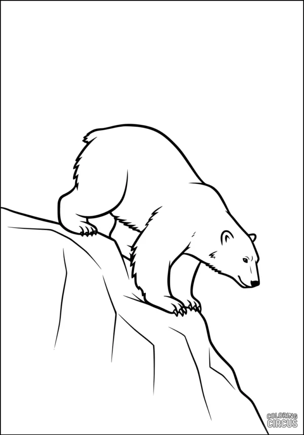Coloring page of a polar bear standing on a rocky ledge in arctic surroundings