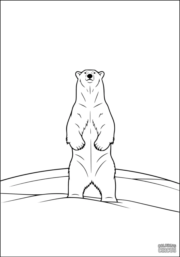 Coloring page of a standing polar bear on a snowy hill for kids