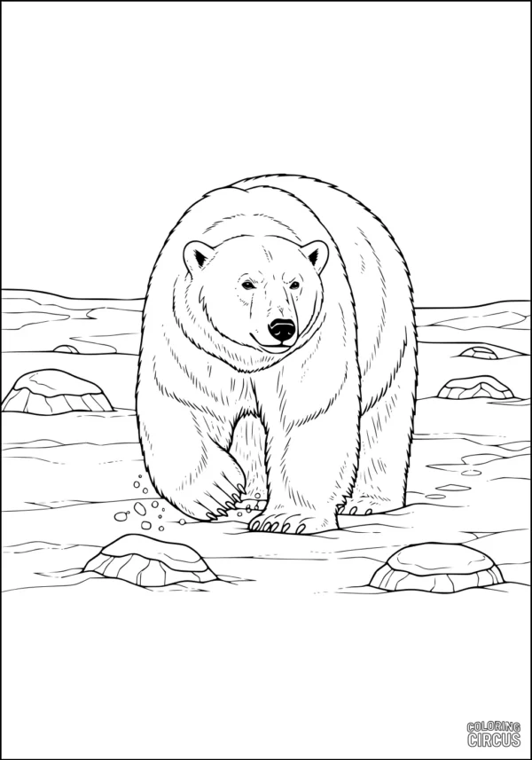 Coloring page features a polar bear walking on snowy ice with scattered rocks in the Arctic landscape.