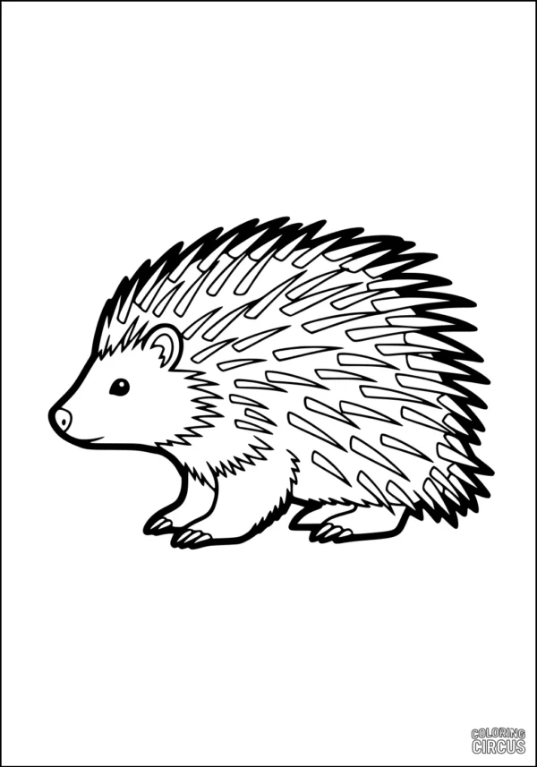 Coloring page cute porcupine with big quills for children