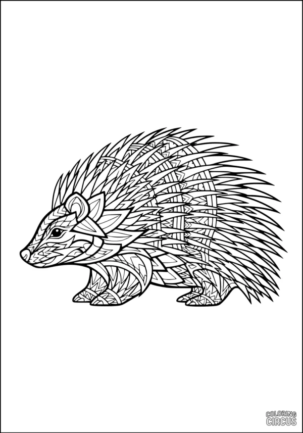 Coloring page featuring a detailed porcupine with intricate patterned quills and a gentle face